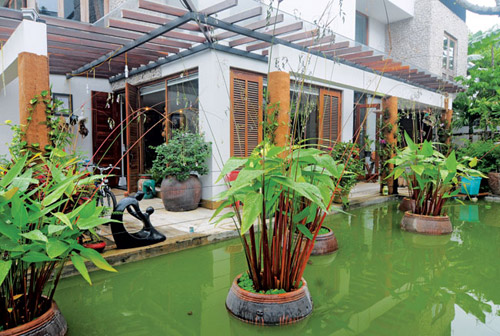 Khoe nhà: Đẹp nao lòng nhà mát xanh - 2