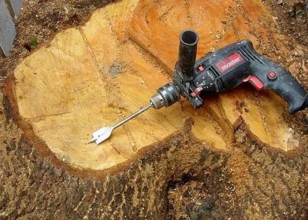 Làm chậu cây từ thân cây